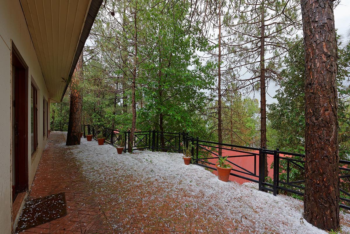 Arcadian Blue Pines Hotel Murree Buitenkant foto